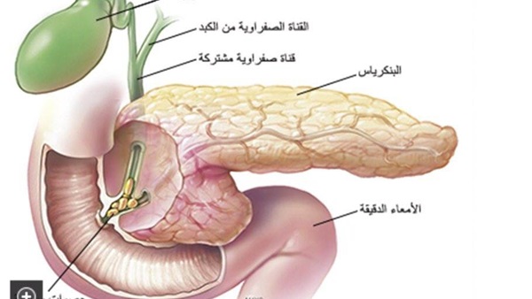 أرشفيه