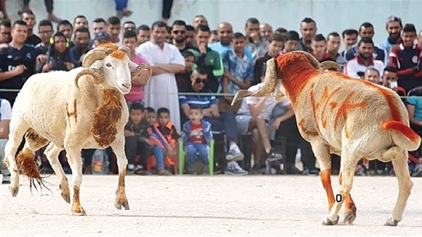 اغرب احتفالات عيد