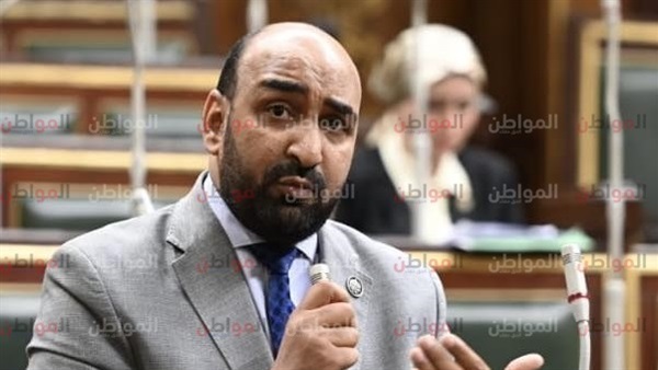 محمود حمدي أبو الخير