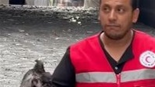 جانب من عملية انقاذ