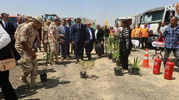 المواطن