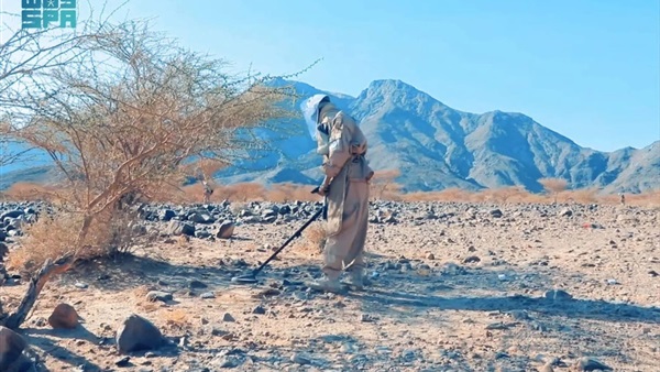 المواطن