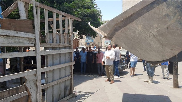 المواطن