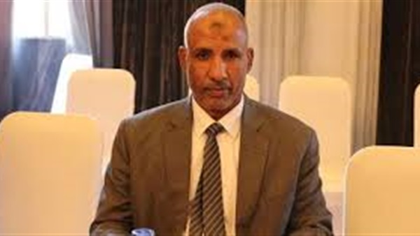 عامر الحناوي، عضو