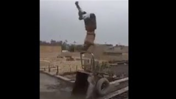 المواطن