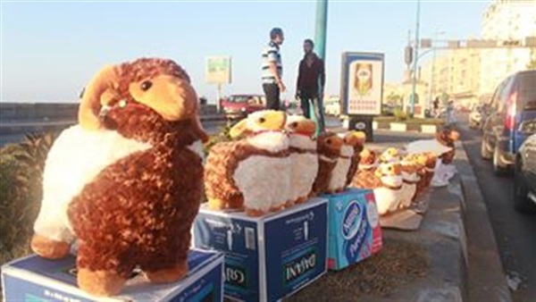 المواطن