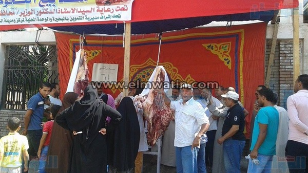 المواطن