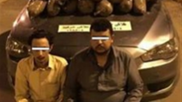 المواطن