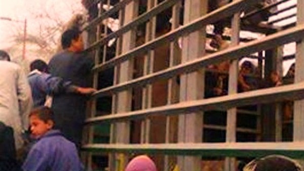 المواطن