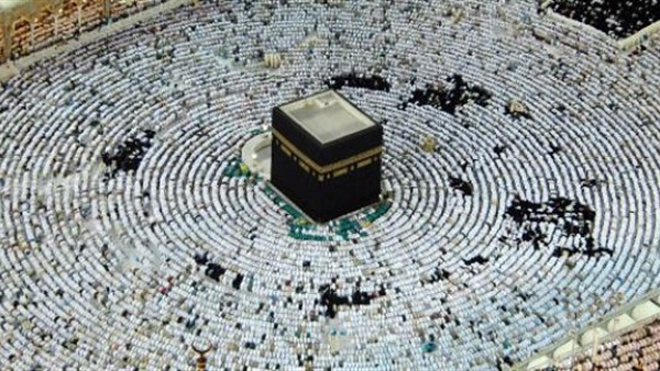 المواطن