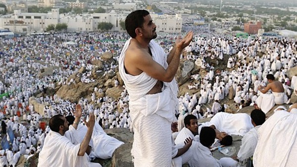 المواطن