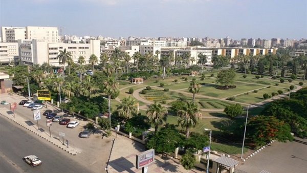 جامعة المنصورة