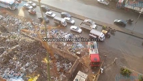 المواطن