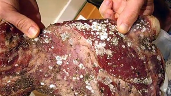 صورة ارشيفية