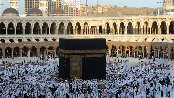 المواطن
