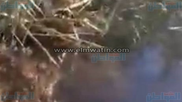 غرق شوارع قرية أسمنت