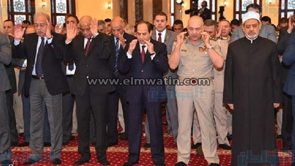 المواطن
