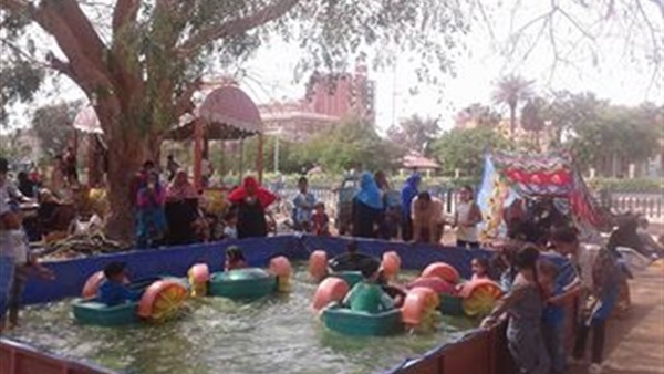 المواطن