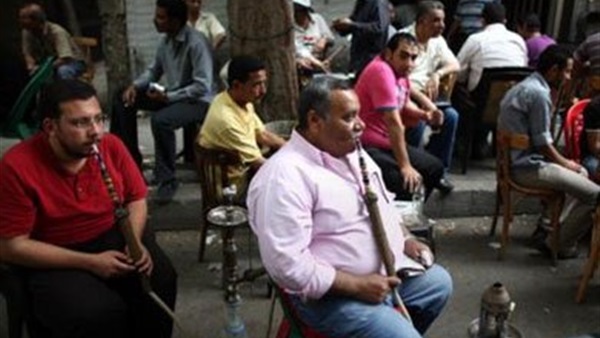 المواطن