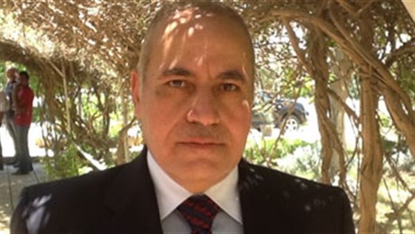 حفظي إلياس وكيل وزارة
