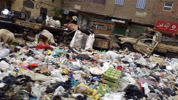 المواطن