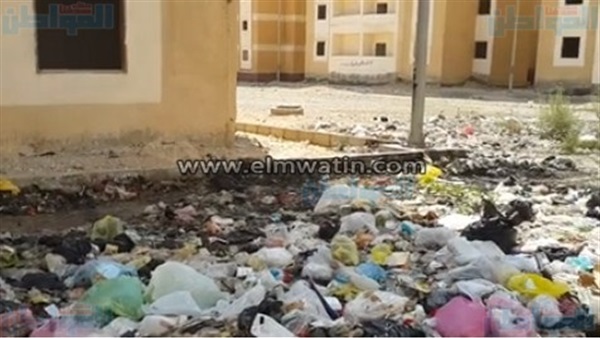 المواطن