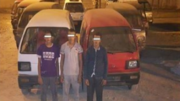 المواطن