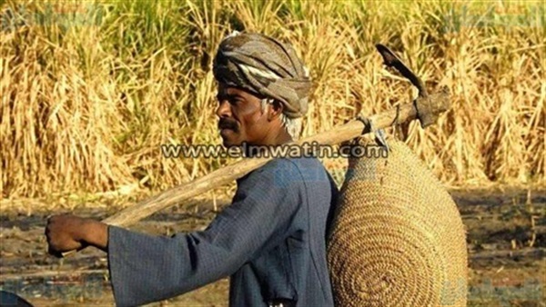 عيد الفلاح المصري