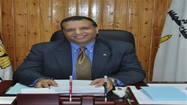 محمد الديب، أمين