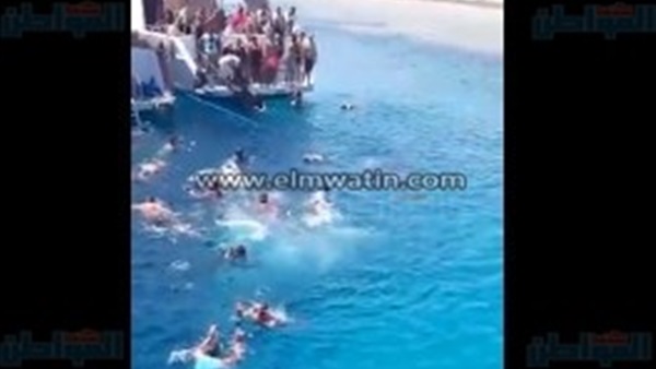 المصريون يتسابقون