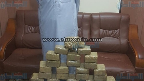 المواطن