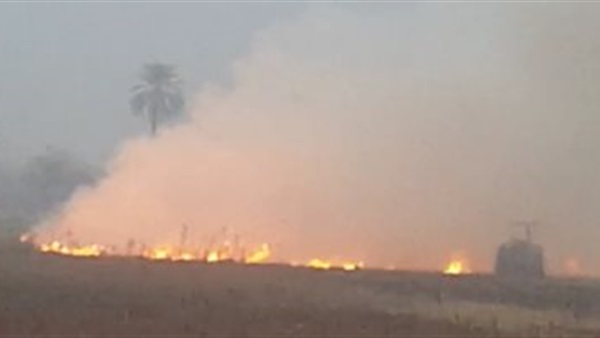 حريق قش الأرز