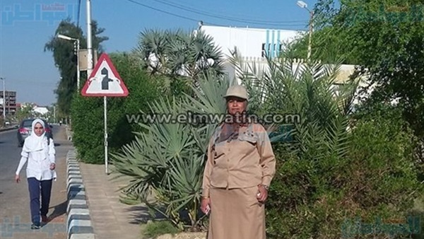 المواطن