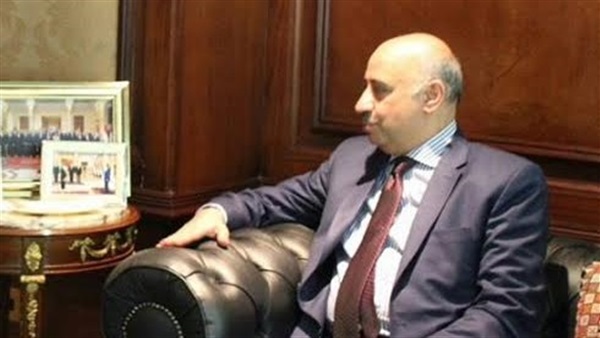 السفير عمرو معوض