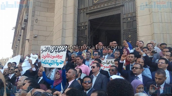 المواطن