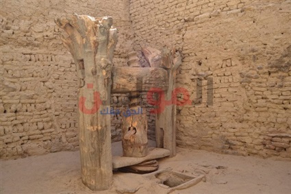 صور| نموذج أفلاطون