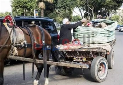 القمامة: أهملها المسئولين..