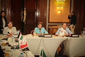 جانب من الاجتماعات
