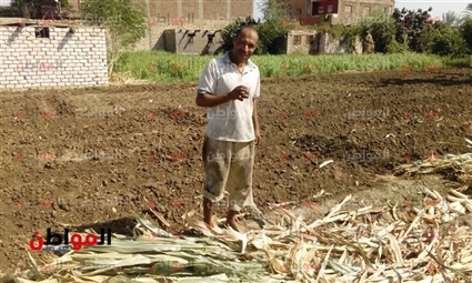 فيديو.. بوابة المواطن