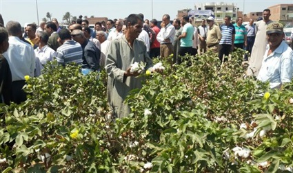 بعد توليه المهمة..