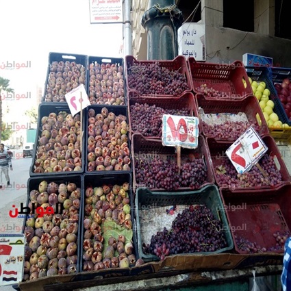 فيديو.. خليها تحمض..