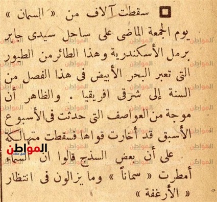 السماء تمطر طيوراً