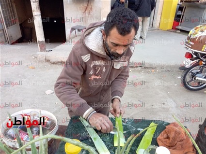 فيديو| رغم أشواكه