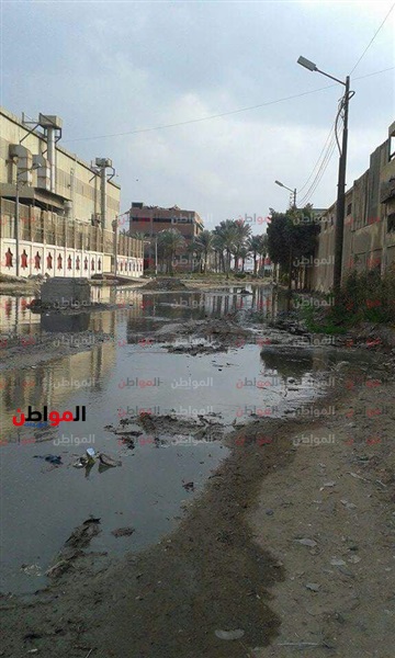 صور| المنطقة الصناعية