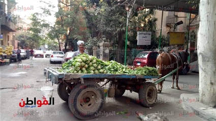 حكايات مصر الحلوة