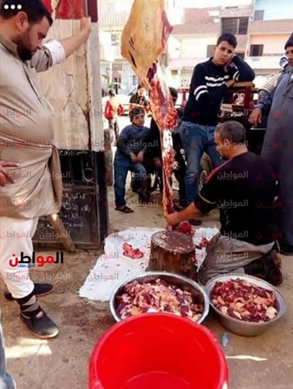 صور| يطعمون الطعام..