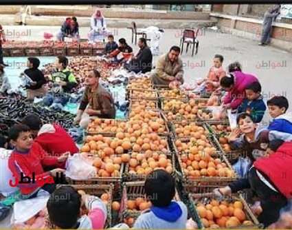 صور| يطعمون الطعام..