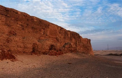 صور| «شونة الزبيب»