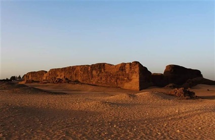 صور| «شونة الزبيب»